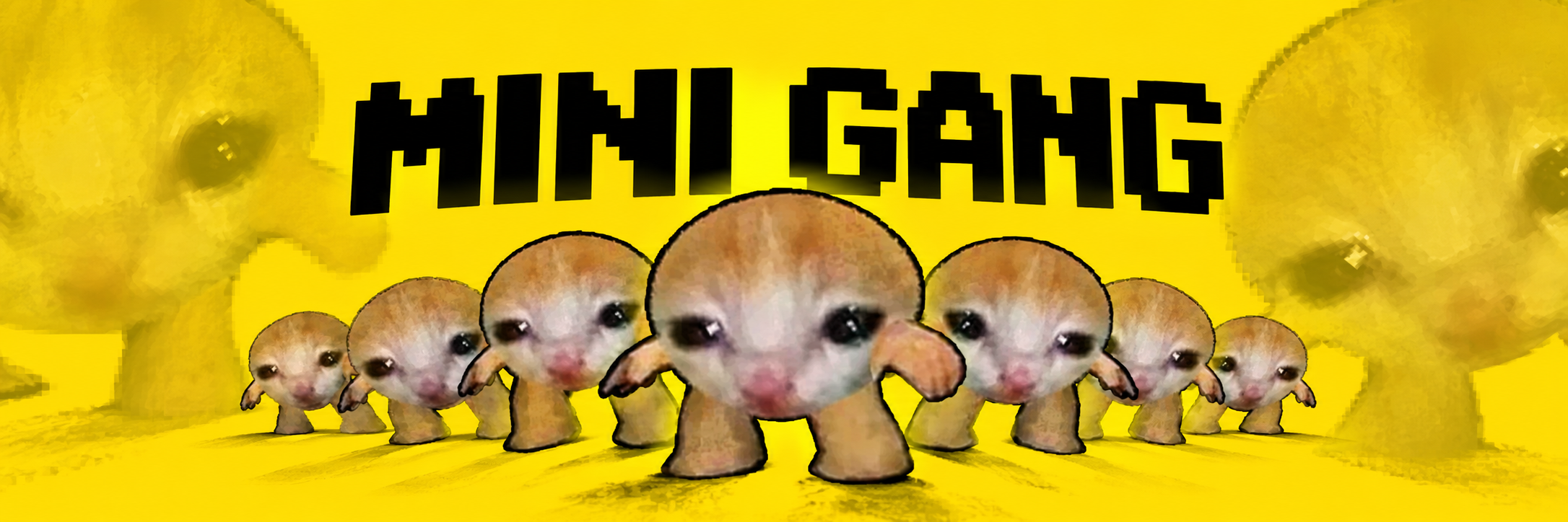 MINI GANG banner with a crowd of tiny cats on yellow
